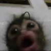 itsstephbroo
