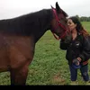 stephaniedashow