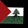 mo.ali0801