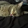 sunsmummy