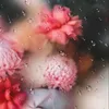 strawberry12cake