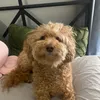 oliviaaofficialll