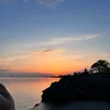 muttedpetal