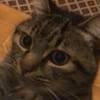 eternalfeedback