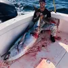 Tunafishtim
