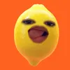 sitie_sk