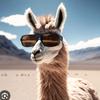 chillllama_