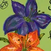 sapphirerm