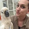 xtowia