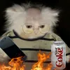 tiddycronch