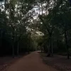 aliyah_7560