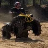 ericrollincoal