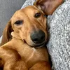 jellybelly092020