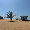 holahiha1