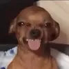 ihateuallbyeeeeee