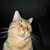 gar_bo