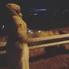 elegoa.lelei