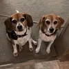halesmarie34
