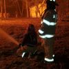 firequeen2002