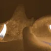 theewuu
