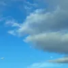 missing_kitty1