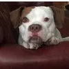 aquariusqween97