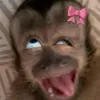msmellgood