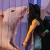 livvylaughsloves