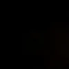 pollo.vas10