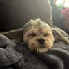kaitlynnn2000