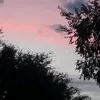deleriumxrose