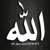 alimohamed96ab