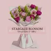 Estrella / Stargaze Blossom 🌸