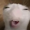 7o3ox