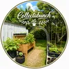 collectabunch