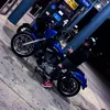 fxdl103.grace