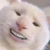 ispilledmybeans