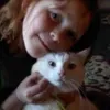 carrottop400