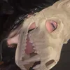 cassmo9