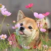 candycute89