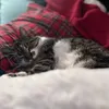 sarahhh__14