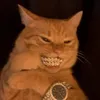incredible_mr_e3