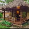 annez1984