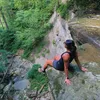 brookiea00