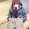 bandsomekash1