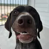 pointingeast