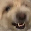 crunchwrapsupremel0v3r