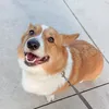 sohednicole