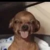 malloreighf