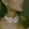 drewxftbutera